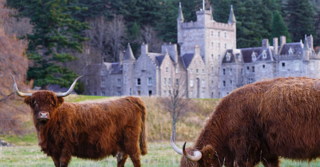 Your Insider Guide to the Scottish Highlands